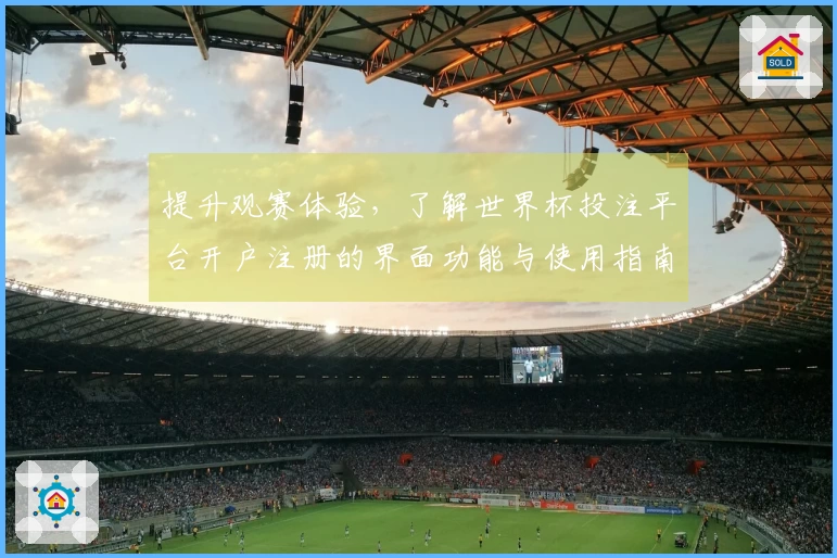 提升观赛体验，了解世界杯投注平台开户注册的界面功能与使用指南