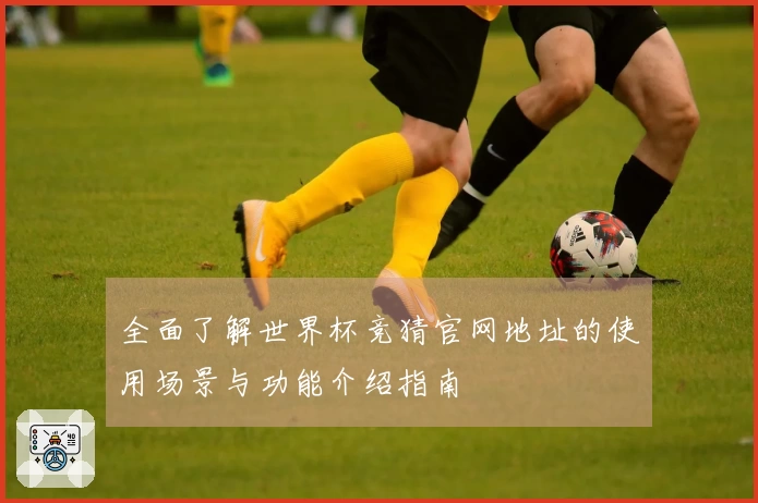 全面了解世界杯竞猜官网地址的使用场景与功能介绍指南