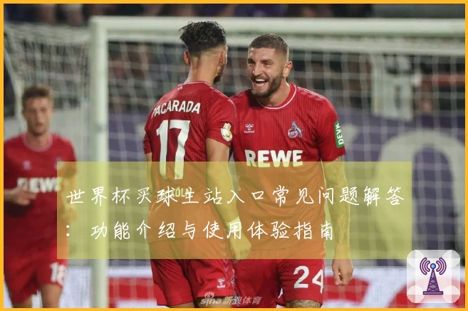 世界杯买球主站入口常见问题解答：功能介绍与使用体验指南