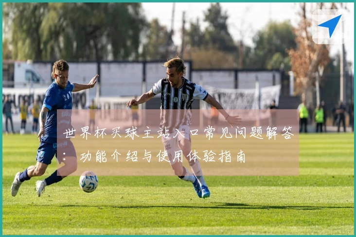 世界杯买球主站入口常见问题解答：功能介绍与使用体验指南